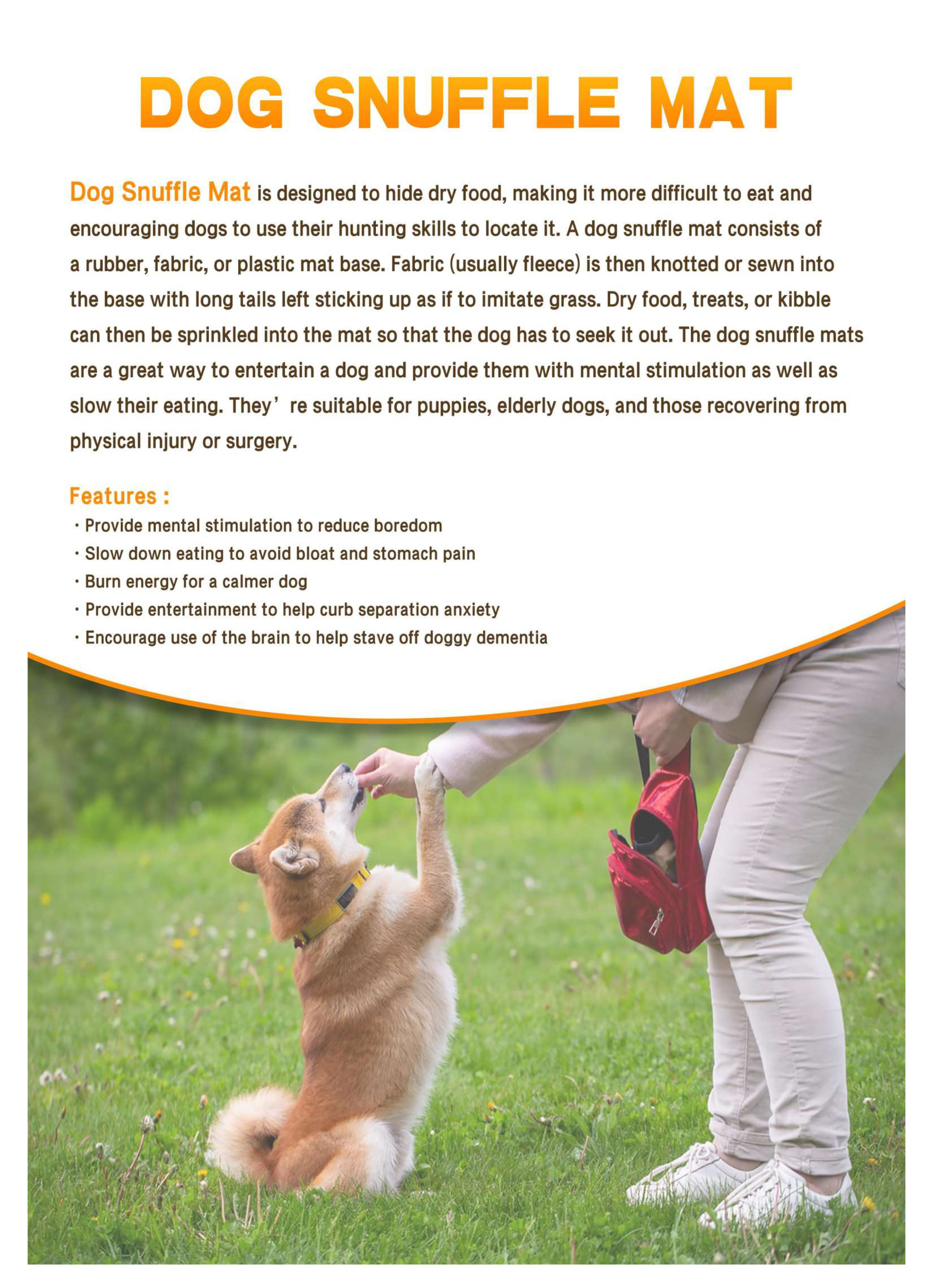 Dog Snuffle mat Dog Snuffle mat